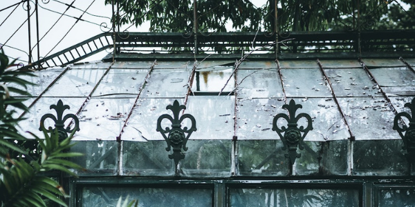 old greenhouse