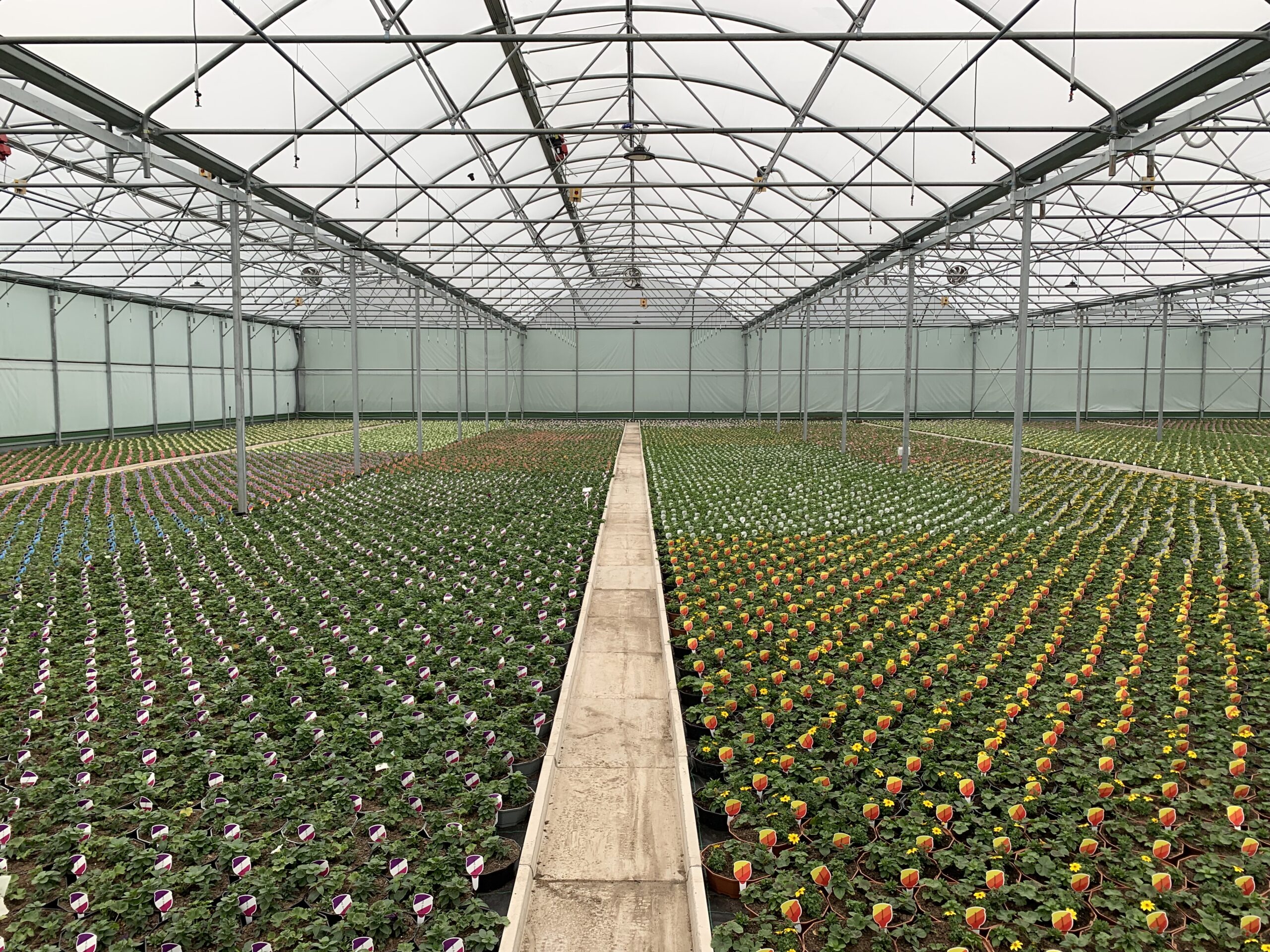 Kingpeng and Northern Polytunnels Join Forces