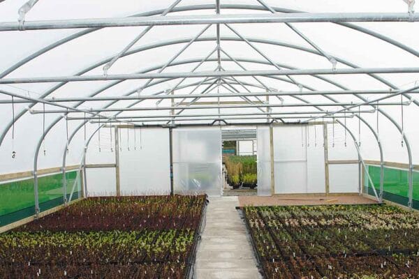 crop-bars Commercial Timber Range Single Span Polytunnel