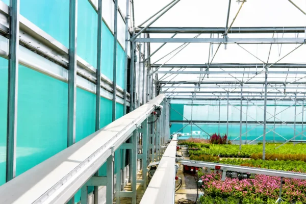 Multispan polytunnel 2 Multispan polytunnel