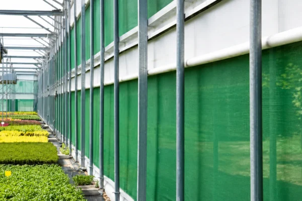 Multispan polytunnel 5 Multispan polytunnel