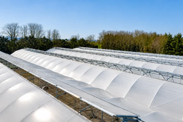 Multispan polytunnel 6 Multispan polytunnel