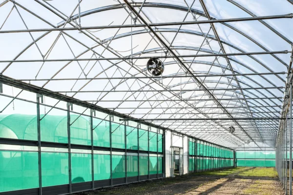 Multispan polytunnel 8 Multispan polytunnel