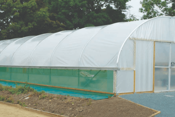 Screenshot 2024-06-06 at 18.12.52 Commercial Economy Single Span Polytunnel