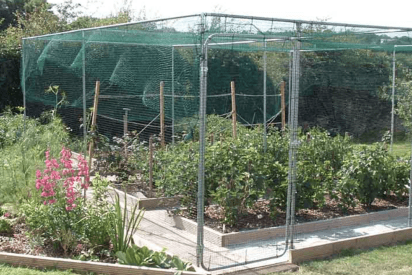 Screenshot 2024-06-19 at 16.25.08 Screenshot 2024-06-19 at 16.25.08