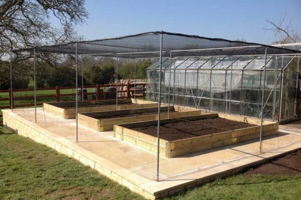 flat-roofed-fruit-cage-5m-x-7.5m flat-roofed-fruit-cage-5m-x-7.5m