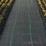 Garden and Allotment Ground Cover