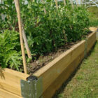 Raised Bed