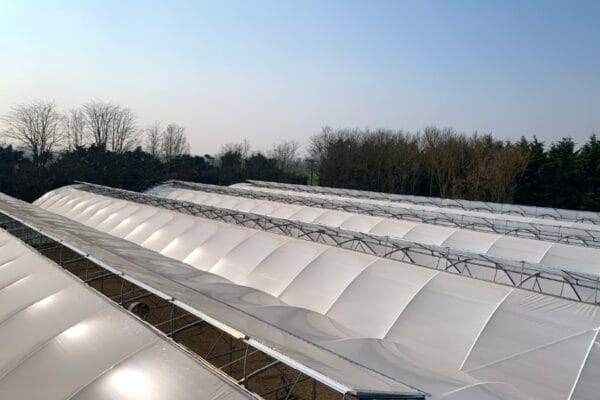 superbay-further-key-featuresartboard-2-100 superbay-further-key-featuresartboard-2-100