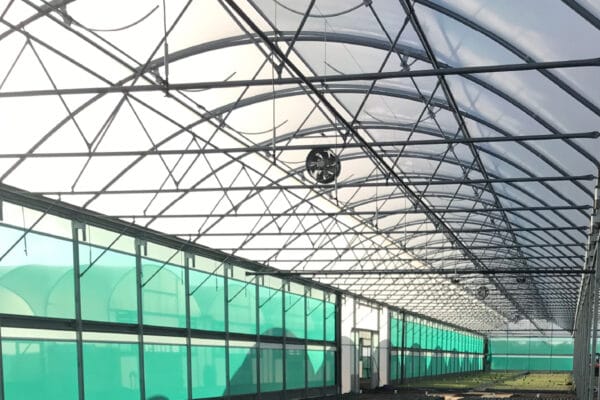 superbay-further-key-featuresartboard-3-100 superbay-further-key-featuresartboard-3-100