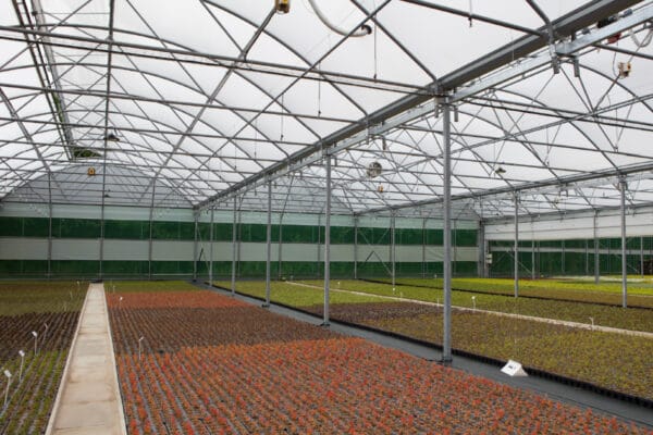 superbay-key-featuresartboard-2-100 superbay-key-featuresartboard-2-100