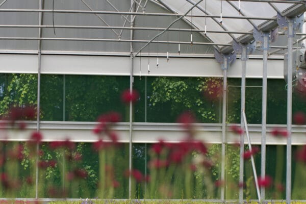 superbay-key-featuresartboard-3-100 superbay-key-featuresartboard-3-100