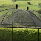 Victoriana Fruit Cage