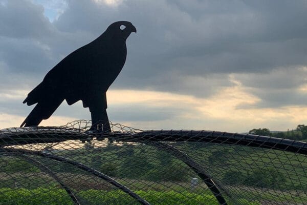 victoriana-fruit-cage__71272 Victoriana Fruit Cage