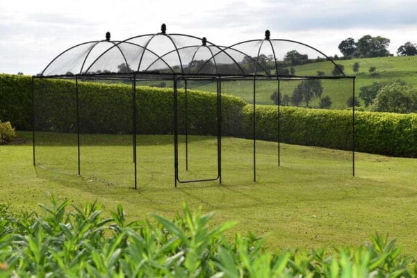 victoriana-fruit-cage__79155 Victoriana Fruit Cage