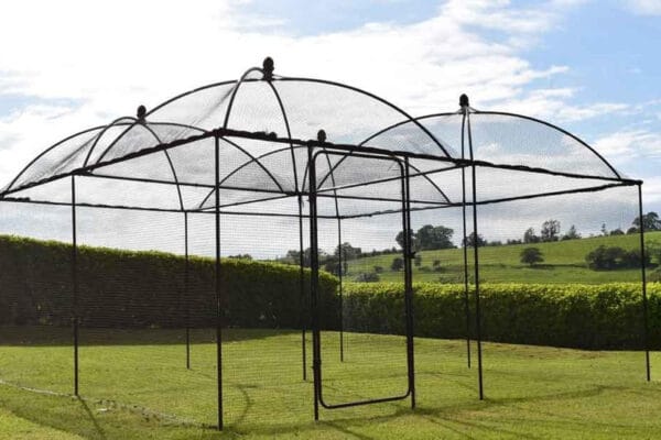 victoriana-fruit-cage__83574 Victoriana Fruit Cage