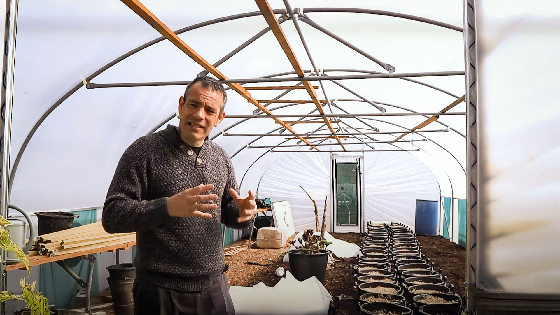 Should You Build or Buy a Polytunnel? Insights from Simplify Gardening