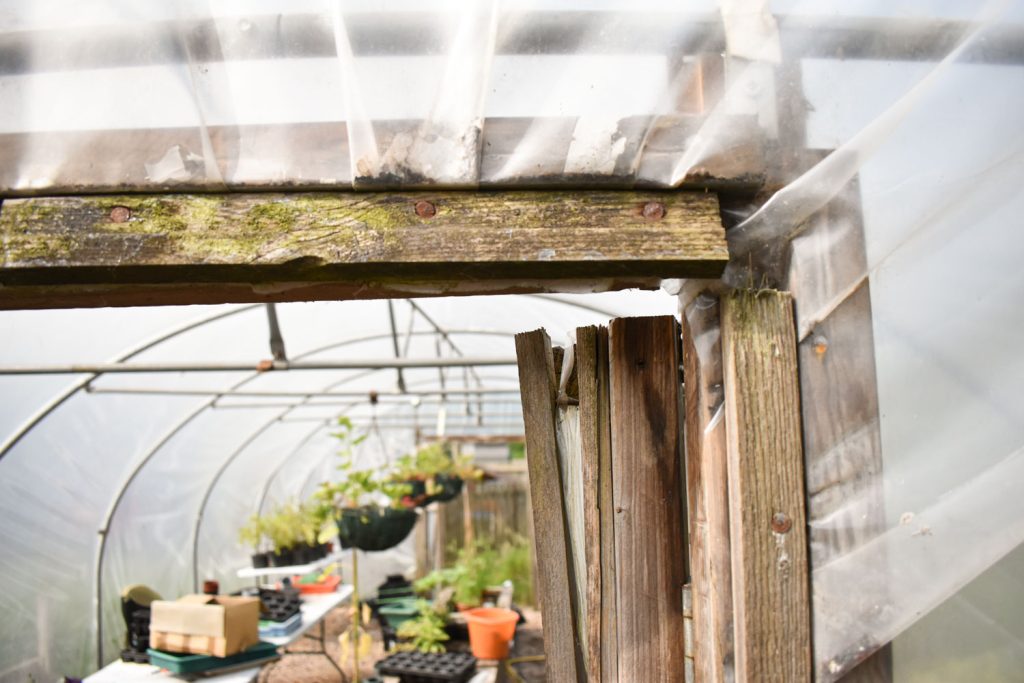 Polytunnel timbers warping and causing nails to slip leaving the hinged door inoperable