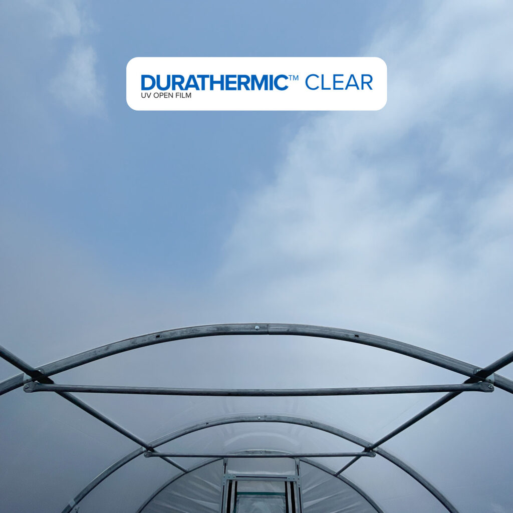 Durathermic clear polythene