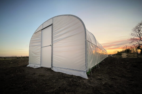 Nettles and Petals EasyBuild Polytunnel Nettles and Petals EasyBuild Polytunnel