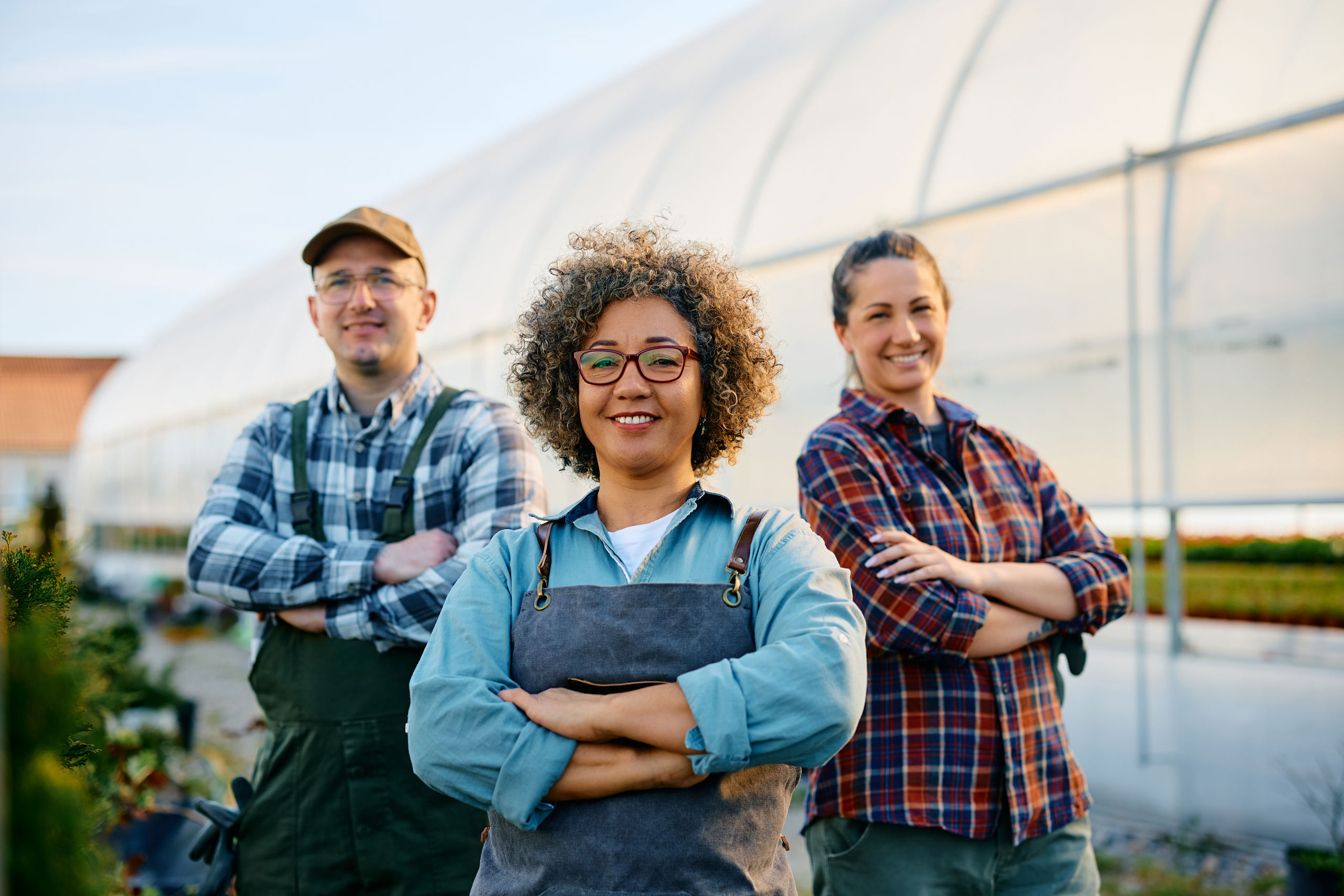 Do I Need Planning Permission for a Polytunnel?