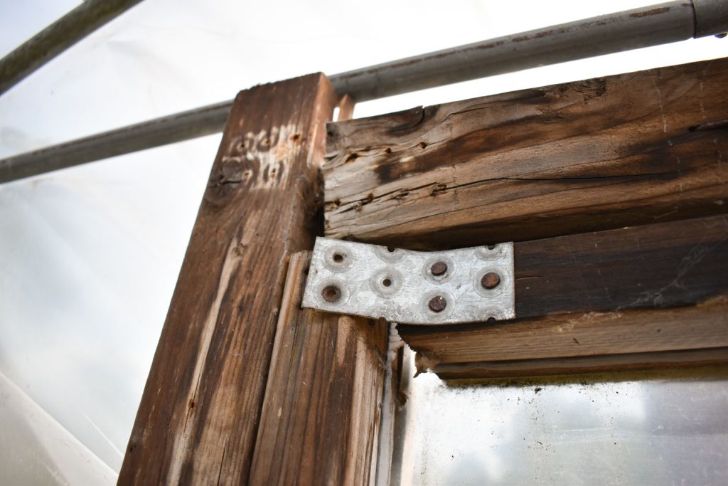 Timber polytunnel frame warping and splitting