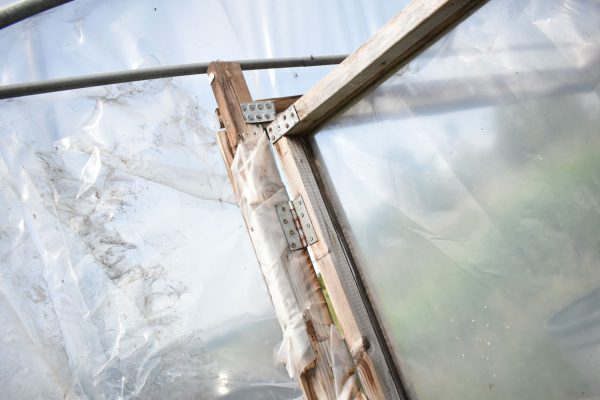Timber polytunnel frame warping and splitting causing damage to the polythene