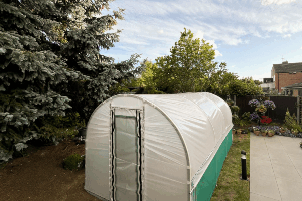 EasyBuild Polytunnel EasyBuild Polytunnel