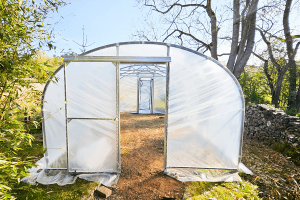 EasyBuild Polytunnel EasyBuild Polytunnel