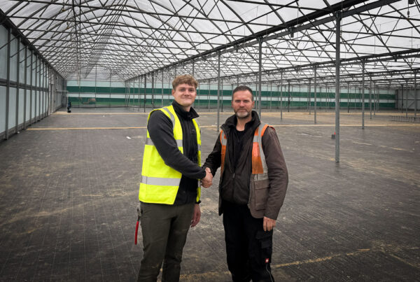 Palmstead Nurseries - 7-Bay Multispan with Northern Polytunnels