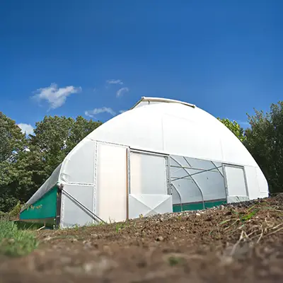 Enviropro Single Span Commercial Polytunnel at I Want Plants