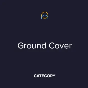 Ground Cover